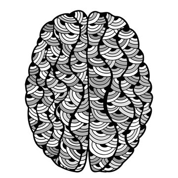 Sketchy Human Brain