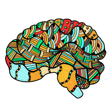 Colored Sketchy Human Brain