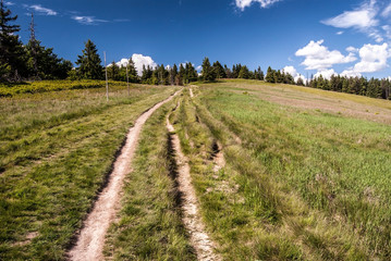 hiking trail on mountain meadow named Hala na Malej Raczy in Beskid Zywiecki mountains
