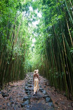 Young Woman Walking In Bamboo Grove, Hana, Maui, Hawaii