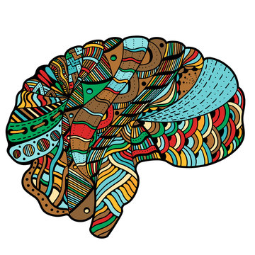 Colored Sketchy Human Brain