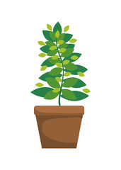 green Leaves and pot  icon. Garden design. Vector graphic 