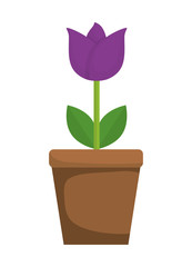 Flower and pot  icon. Garden design. Vector graphic 