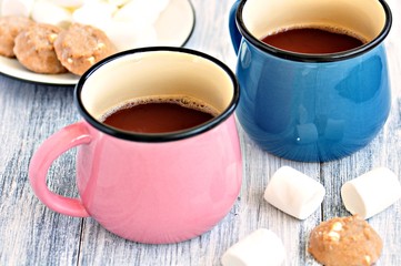 Hot cocoa with marshmallows and cinnamon cookies 