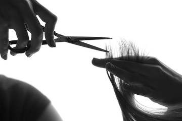 hairdresser cuts client's hair