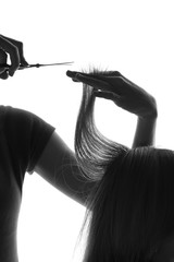 silhouette hairdresser cutting a client