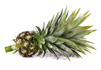 Small pineapple on white background