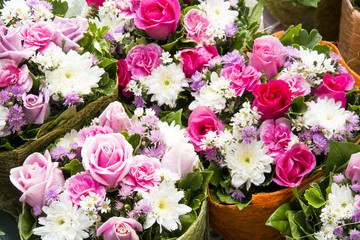 flower colorful in the garden background