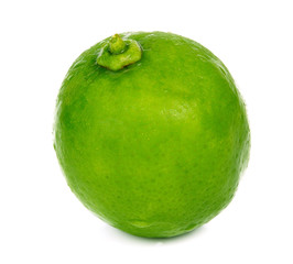 lime fruit isolated closeup on white background