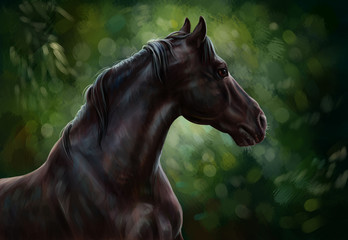 Plakat Вороной конь