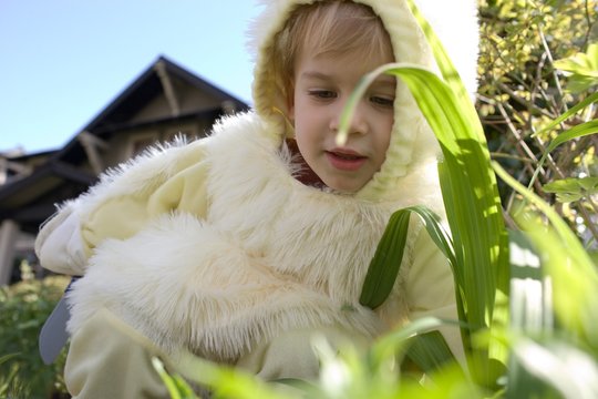 Young boy dressed as Easter bunny, close up