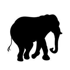 Big elephant (black silhouette)