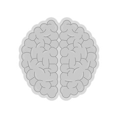 human brain icon