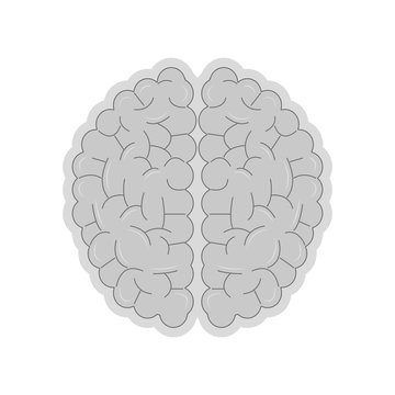 human brain icon