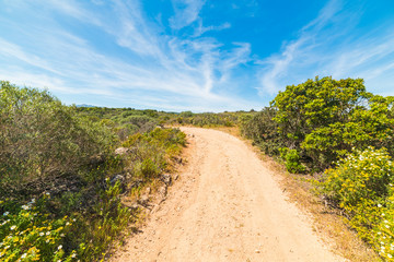 dirt path in Sardinia