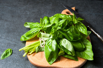 bunch of fresh organic basil on cutting board
