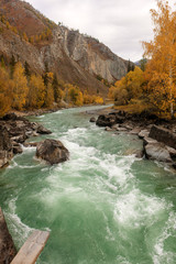 rapid river in autumn mountains