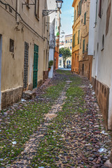 Obraz na płótnie Canvas old street in Alghero