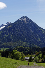 mountain landscape in spring