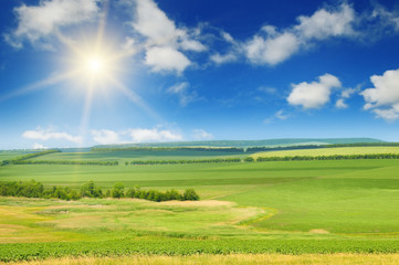 green field and sun on blue sky