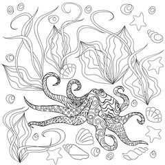 octopus with seashells