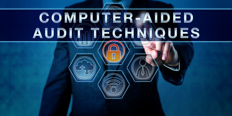 Auditor Pushing COMPUTER-AIDED AUDIT TECHNIQUES