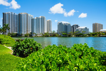 Downtown Miami Cityscape