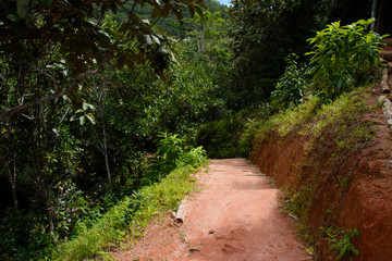Fototapeta premium Seychellen