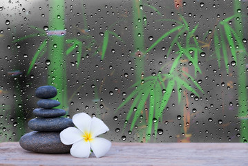 white frangipani flower and stone zen spa on wood with  rain wat