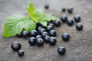 Black currant on wooden table with leaf sprig