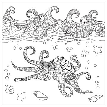 Octopus in the ocean