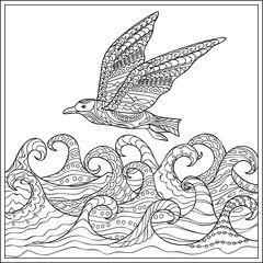 gaviota ander the ocean