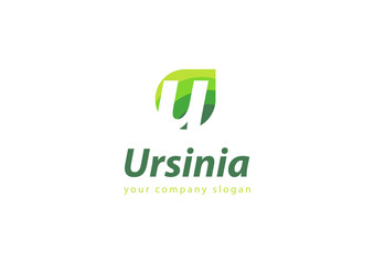 letter U logo Template for your company