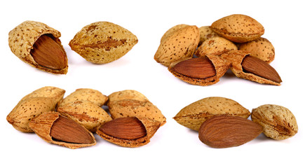 set of almond on white background