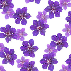 Fototapeta na wymiar Beautiful floral background. Purple clematis 