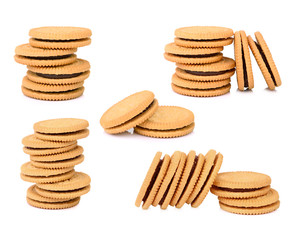 set of sandwich cookies with cream on white background