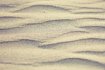 Fototapeta na wymiar texture desert sand dunes waves