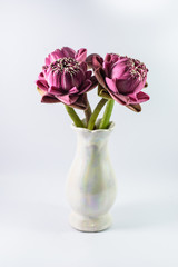 lotus flowers on vase