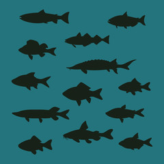 Fish Vector Flat Icons Set