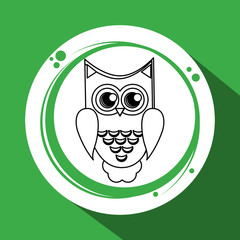 Animal design. owl icon. Isolated illustration , vector