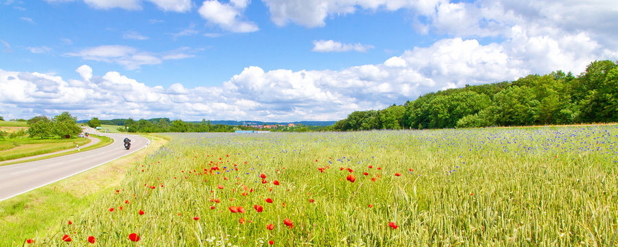 Idyllische Landstra&szlig;e bei Berglen, Baden W&uuml;rttemberg