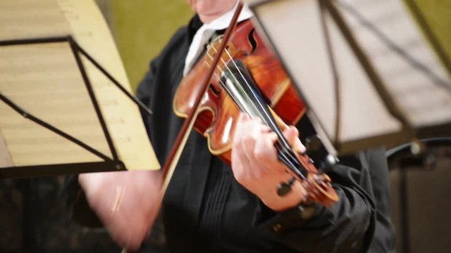 Violinist plays the violin, blurred defocused background