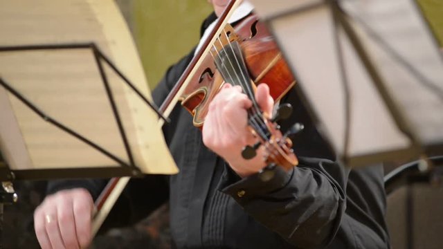 Violinist plays the violin, blurred defocused background