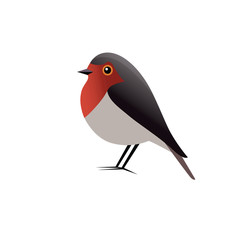 Robin Bird Vector