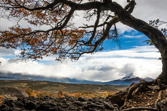 Autumn in Patagonia. Torres del Paine National Park, Chile