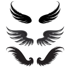 Wings Vector Set. Angel concept design elements