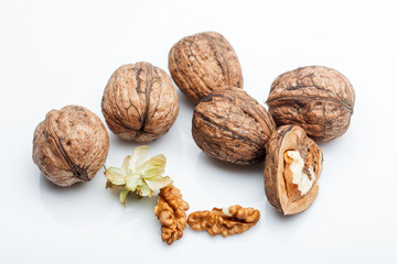 walnuts isolated on white