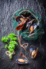 Fresh mussels on ice with ingredients