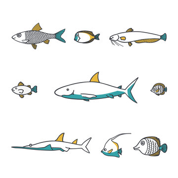 Line design vector fish icon set.