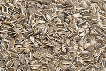 Rich and nutritious sunflower seeds